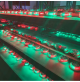 Navigation light - Bi-color Bow Light - WK-NL2-BI -AZLED